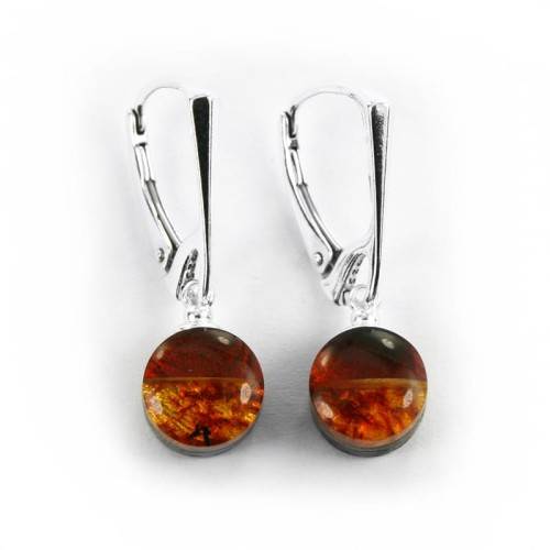 Kolczyki okrągłe wiszące z bursztynem i czarnym dębem 5366