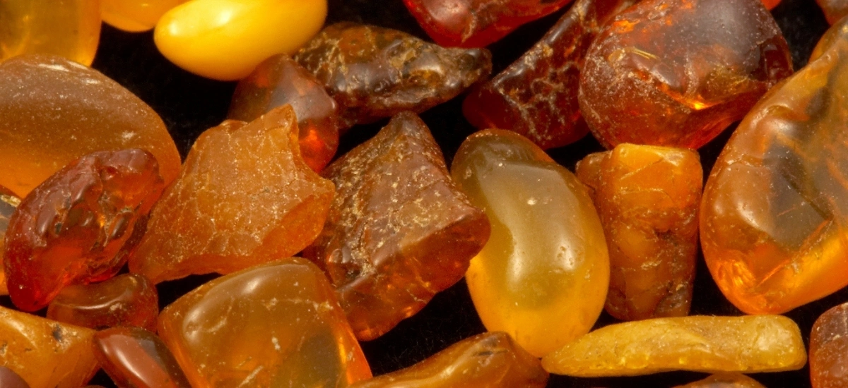 Dlaczego bursztyn ma różne barwy?