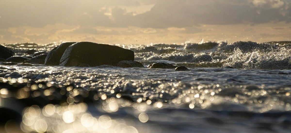 Prawdziwy bursztyn bałtycki czy falsyfikat?